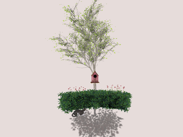 Tree. Cat, Birdhouse