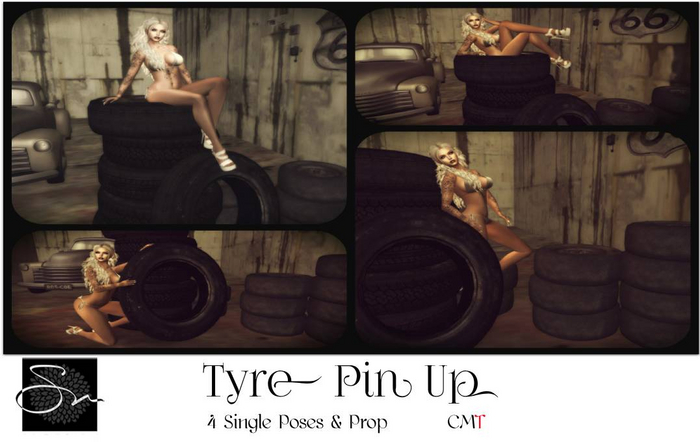 **SN~ Tyre Pin Up