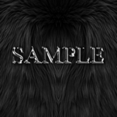 Zoy Texture [ Fur Shag Black 1 ]