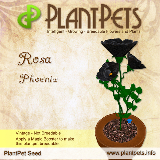 PlantPet Seed [Rosa *Phoenix*]