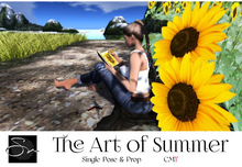 **SN~ The Art of Summer