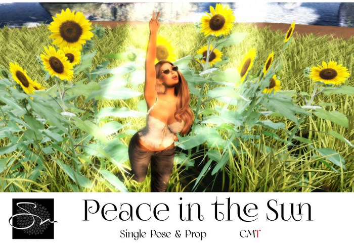 **SN~ Peace in the Sun
