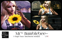 **SN~ Mr Bumblebee