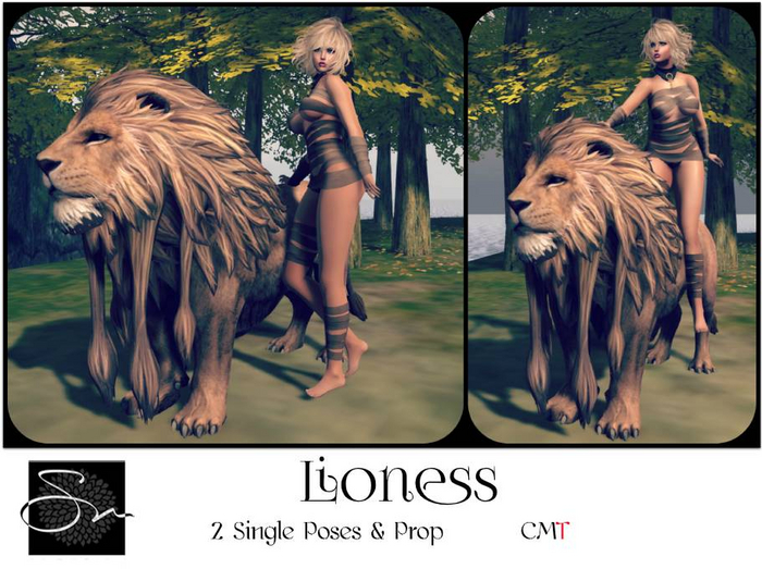 **SN~ Lioness