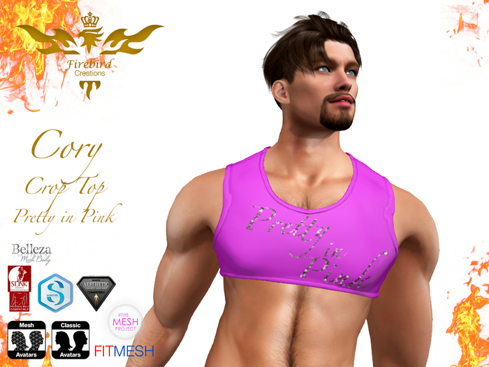 Firebird Cory Crop Top Pretty in Pink