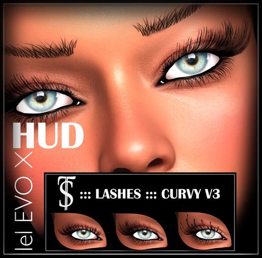 ::: TDS ::: LASHES:::CURLY V3 ::: BOX