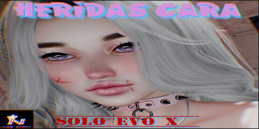 heridas evo x