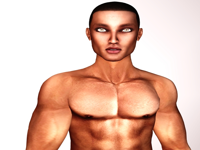 Altamura: "MAX" Bento Fullbody Gift1/2 shape