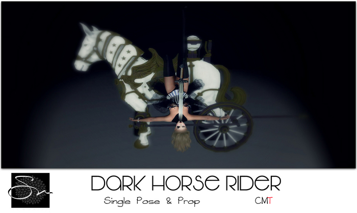 **SN~ Dark Horse Rider