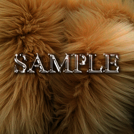 Zoy Texture [ Fur Shag Brown 3 ]