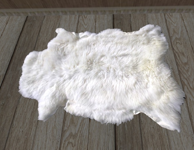 animal skin rug 1 (add)