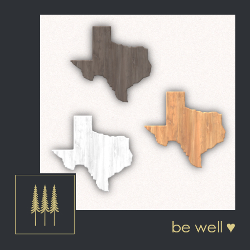 PROMO ➛ Meilleur Wood Wall Decals (Texas), Set of 3, State Shape with Shadow 3d Effect - Mesh (ADD to Unpack) 