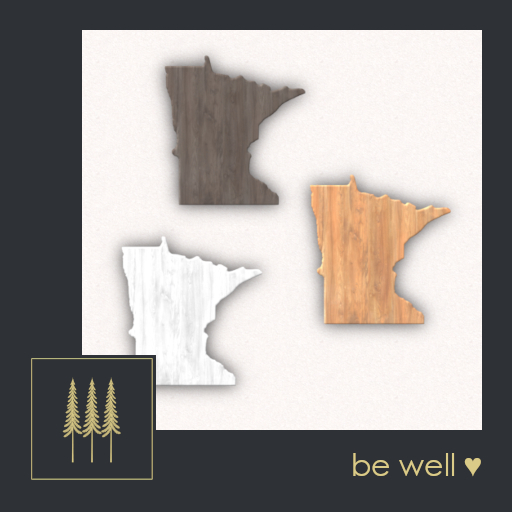 PROMO ➛ Meilleur Wood Wall Decals (Minnesota), Set of 3, State Shape with Shadow 3d Effect - Mesh (ADD to Unpack) 