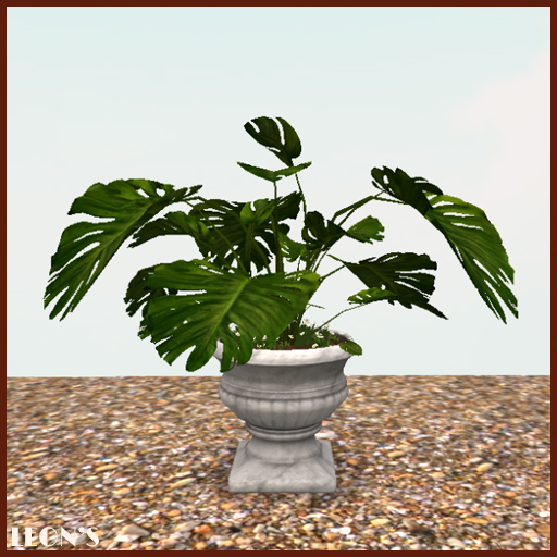 Philodendron in Marble Planter - RESIZE COPY