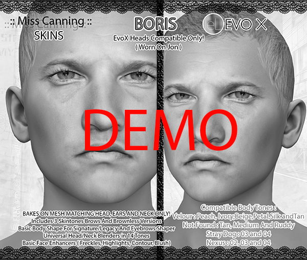 *:: Miss Canning ::  SKINS [ BORIS ] Lelutka EVOX DEMO