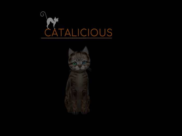 KittyCatS Box - New Born Kitten