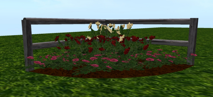 Corner Rose Garden