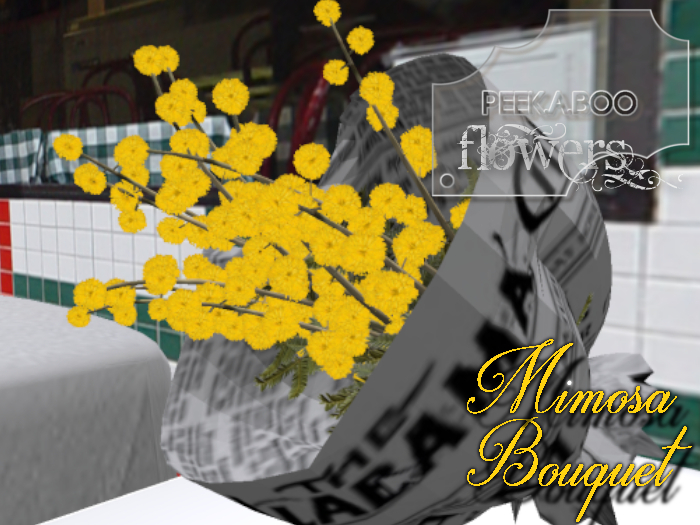 p-a-b mimosa bouquet news paper