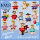 NACH Mophead bear "Marry Me?" RARE