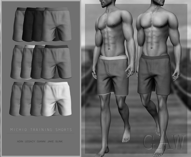 GAW Michio Training Shorts Solid Set DEMO