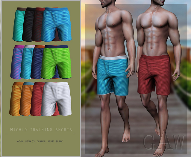 GAW Michio Training Shorts Solid Set FATPACK