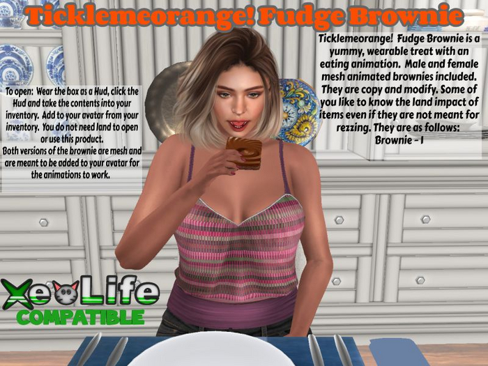 Ticklemeorange! Fudge Brownie