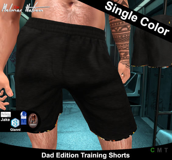 [ALF] DAD Paint Explosion Shorts