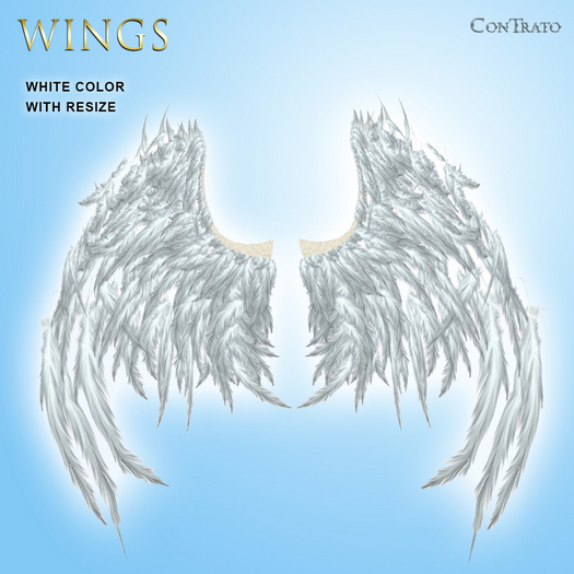 [ConTrato] Wings White