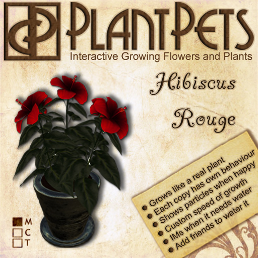 [UPDATED] PlantPet Seed [Hibiscus Dwarf *Rouge*]