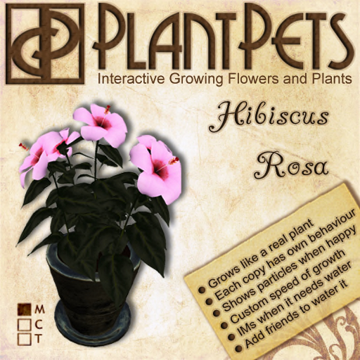 [UPDATED] PlantPet Seed [Hibiscus Dwarf *Rosa*]