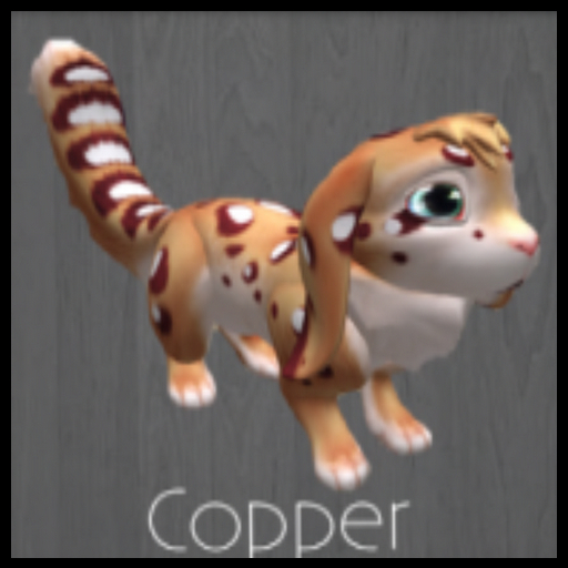 couple Copper M Shy #8469854 & #8090850