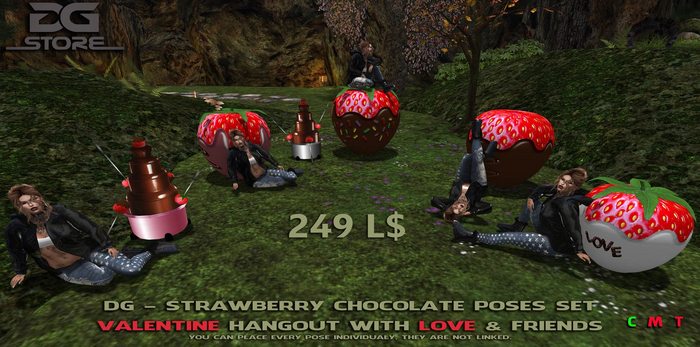 DG- Strawberry Chocolate Pose Set - Box