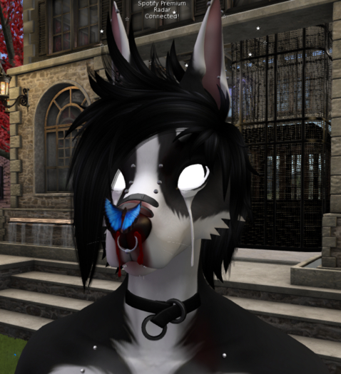 Happy Paws Doggo Tears