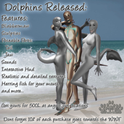 Bottlenose Dolphin Wet Female (Boxed)