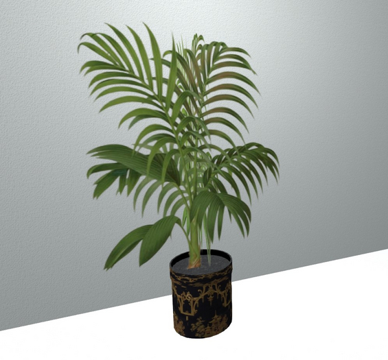 Plant in Ceramic Pot (7) 2022