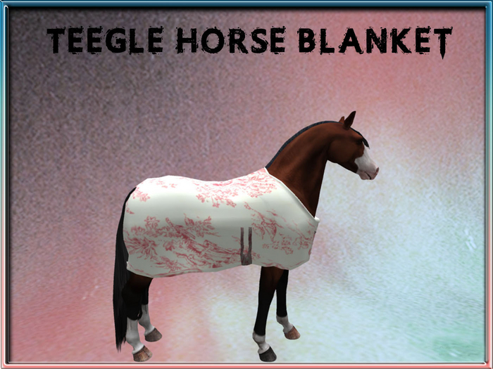 -SY-18  Teegle Horse Blanket.