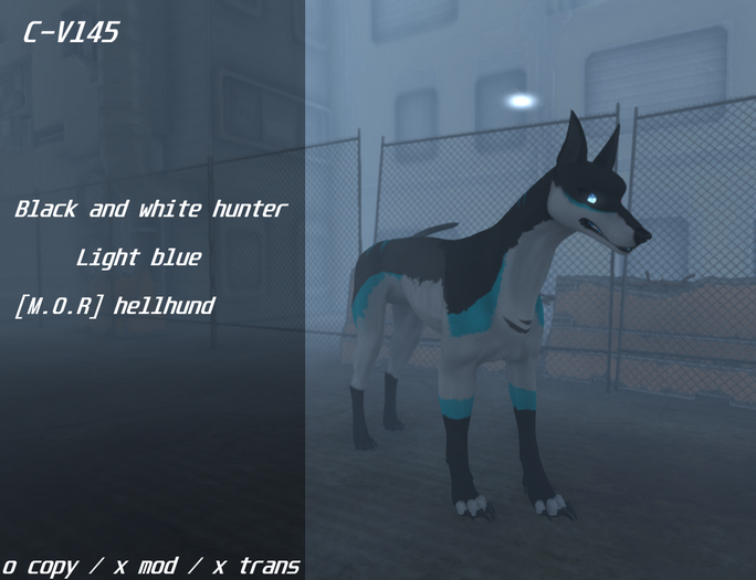[M.O.R] hellhund Mod : black and white hunter ( light blue )