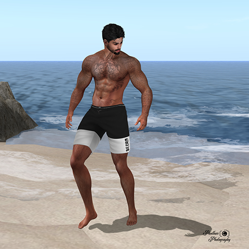 [Panthar Pose] Action Pose 5