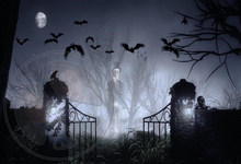 219 - Fantasy - Halloween - Dark - Graveyard - Gate - Ghost - Craws - Moon - Land Divider - Background - Privacy Screen