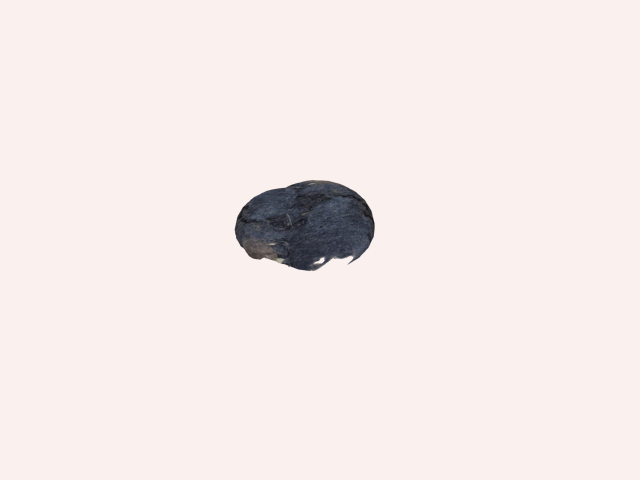 Pocket Lint
