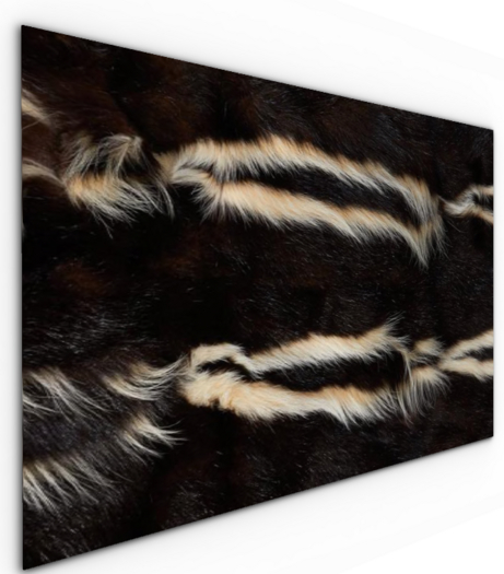 Lodge Rug - Skunks