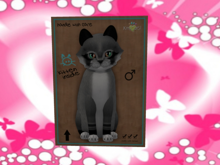 KittyCatS Box - Guennola y Deman