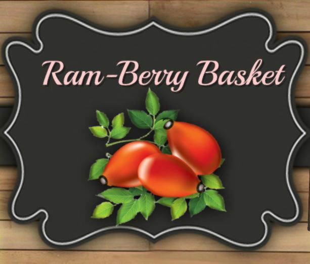 DFS RAM-BERRY BASKET X5