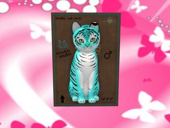 KittyCatS Box - New Born Kitten