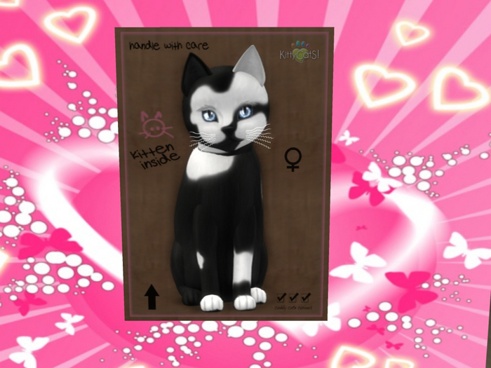 KittyCatS Box - Chateau Cat - Black & White No. 2 G Tranquility