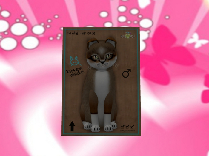 KittyCatS Box - gift