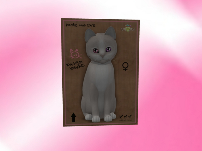 KittyCatS Box - New Born Kitten 40 1