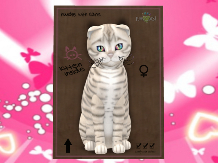 KittyCatS Box - toyger snow rainbow prism plum tipped blk 9T GI