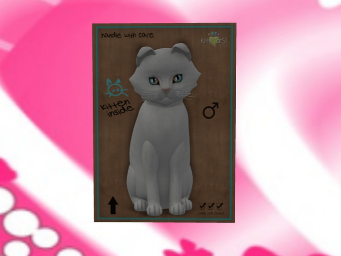 KittyCatS Box - New Born Kitten