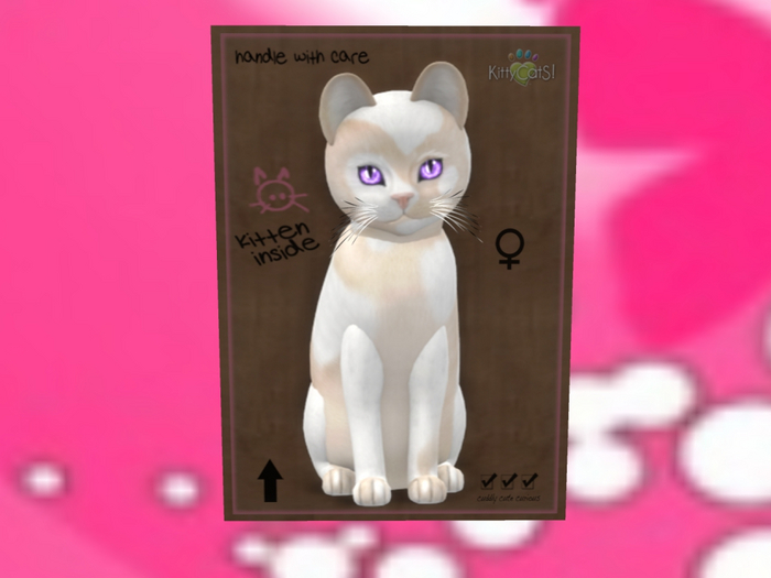 KittyCatS Box - auktion mg